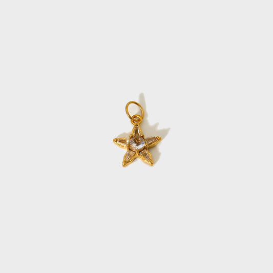 Studded Star fish Charm