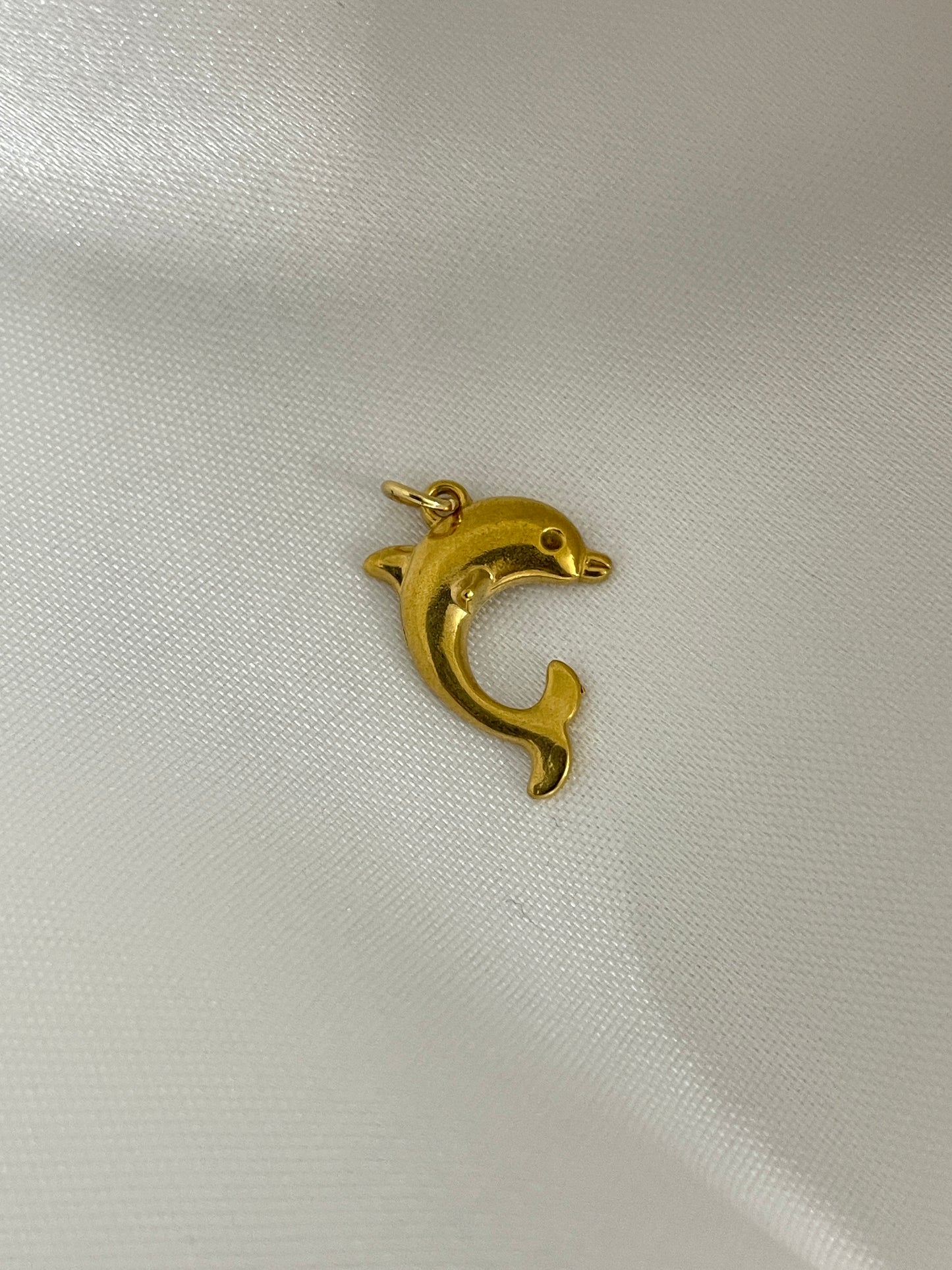 Dolphin charm