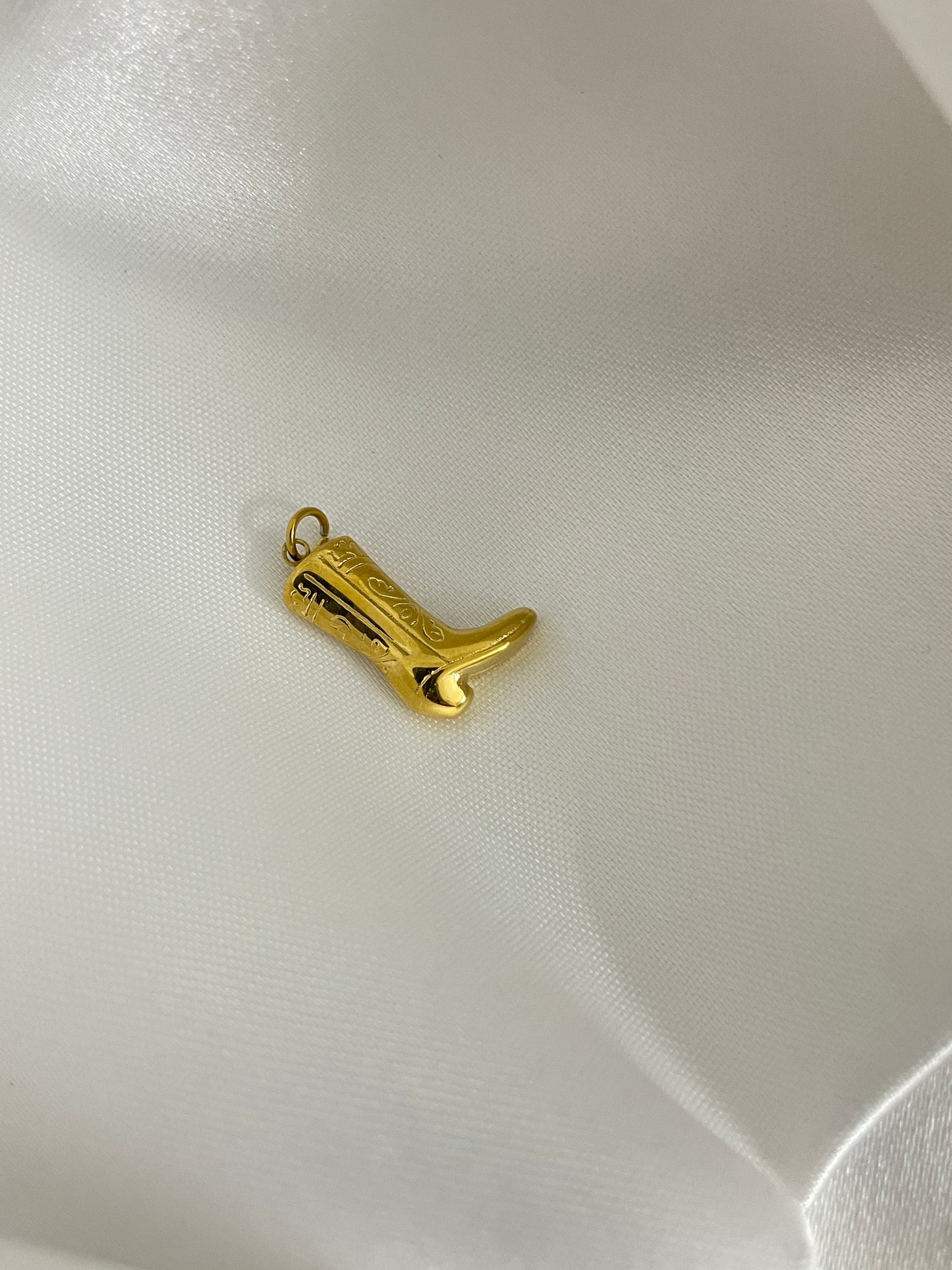 Texas shoe charm
