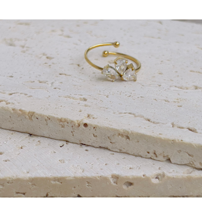 Federica Adjustable Rings Series