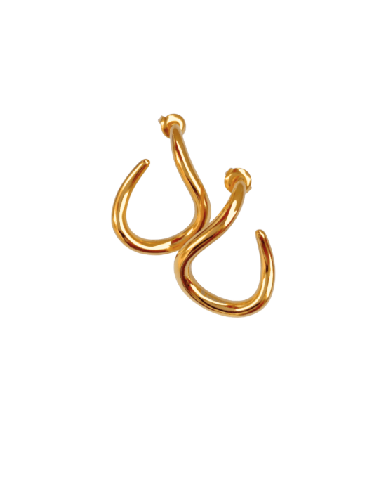 Hook Earrings